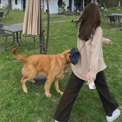知音 在线观看